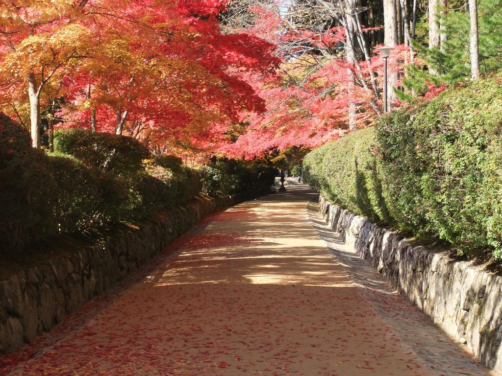 Koyasan Shukubo Jokiin Hotel Kültér fotó